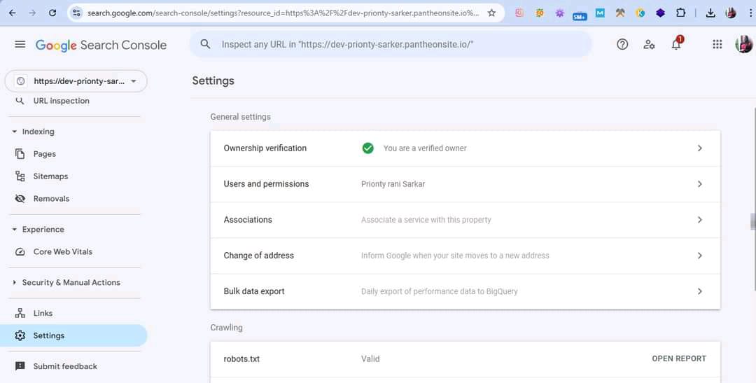 Project 07, Google Search Console