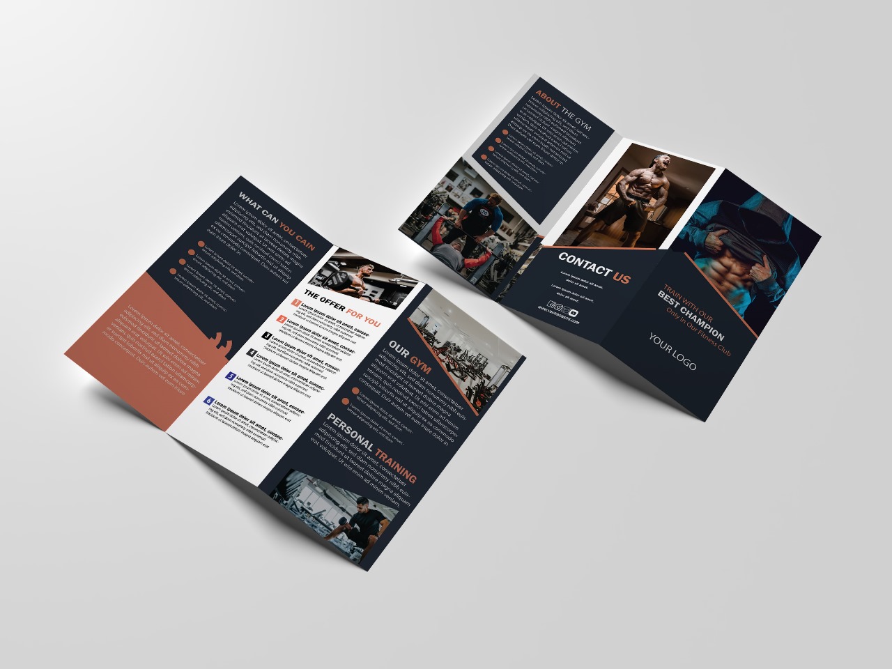 Zim Tri-fold brochure design 2/Graphics Design services